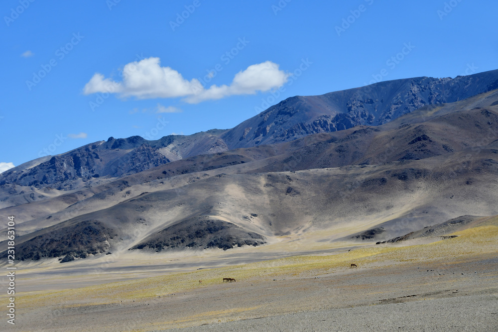China, Tibetan plateau near the village of Yakra in summer China, Tibetan plateau near the village of Yakra in summer