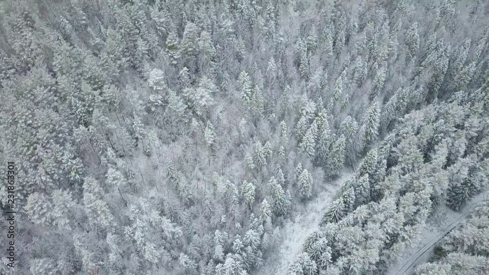 AERIAL: Flying over the snowy forest and hills AERIAL: Flying over the snowy forest and hills
