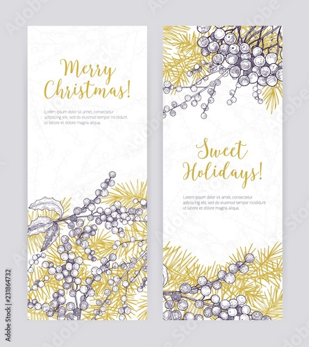 Set of vertical Christmas banner templates with coniferous tree branches, hol...