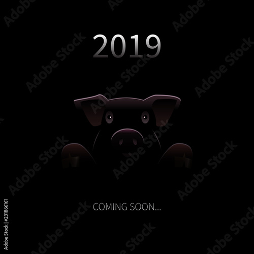 2019 New Year Coming Soon Background. Vector Greeting Card with Pig Silhouette and text in Darknes. Funny Festive Background for New Year. Vector Creative Illustration.