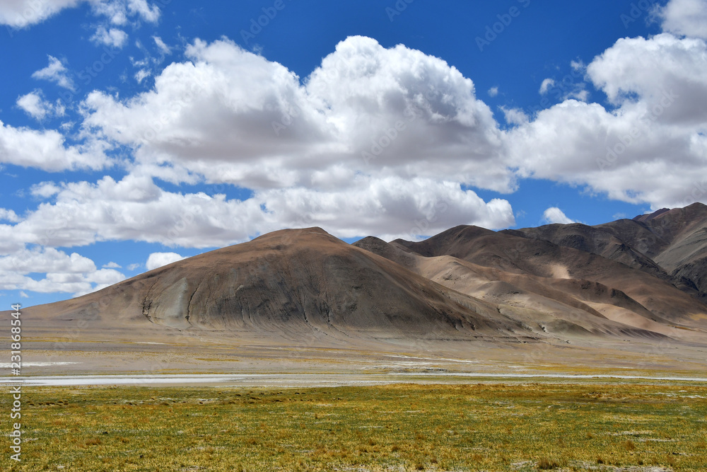 China, Tibetan plateau near the village of Yakra in summer