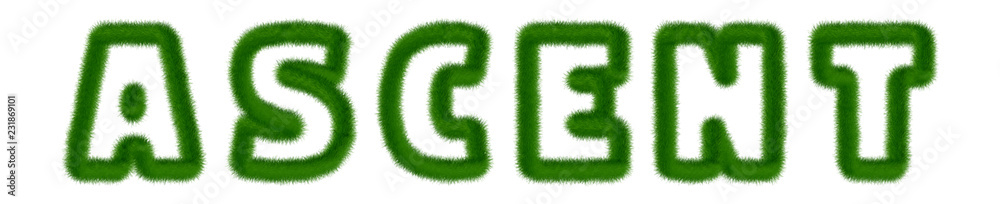 Ascent - text written with grass Ascent - text written with grass