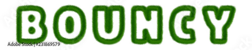 Bouncy - text written with grass