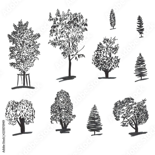 Handdrawn set of ink trees. Set of sketched illustrations. Black ink and brush sketches of spruce for cards and package design