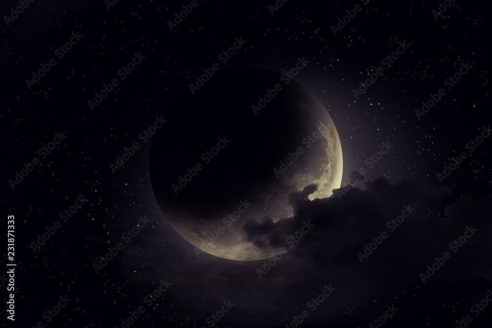 Fototapeta premium moon