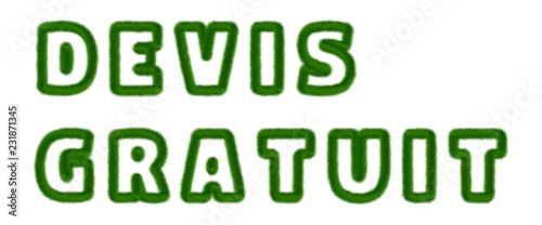 Devis Gratuit - text written with grass