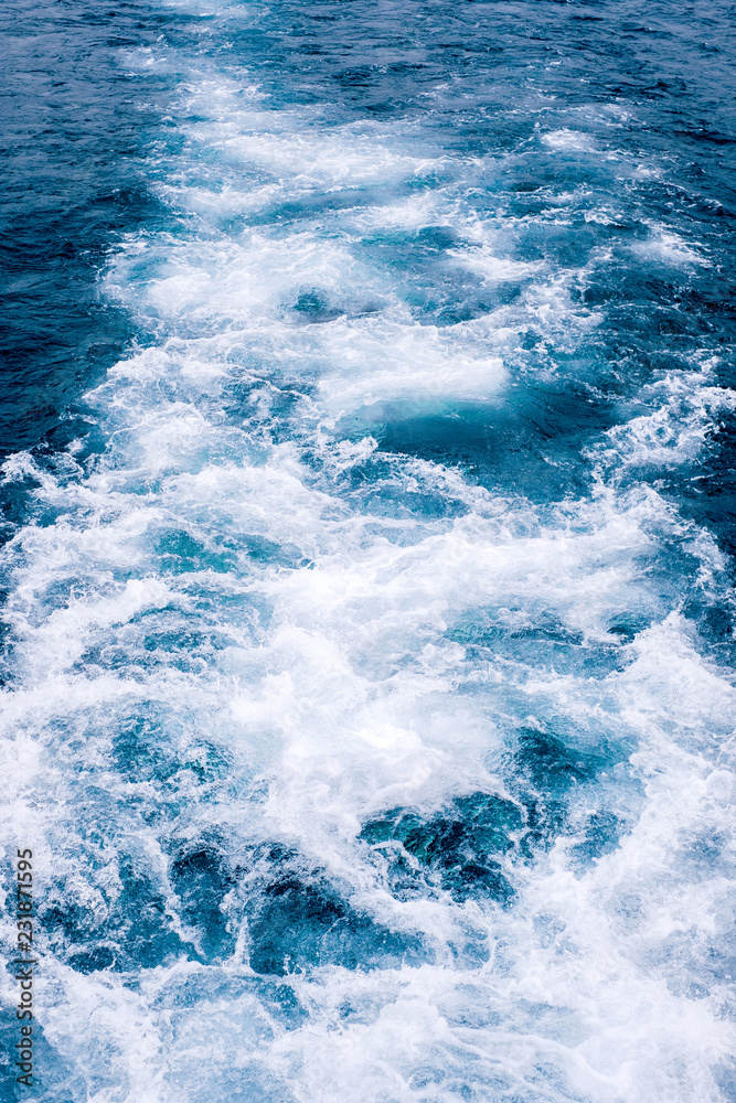 海 海