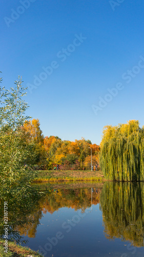 Fototapeta Naklejka Na Ścianę i Meble -  Beautiful fall colors reflect off a pond. Autumn park