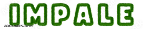 Fotografie Impale - text written with grass