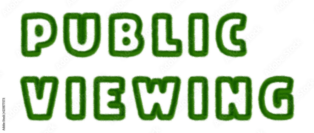 Fototapeta premium Public Viewing - text written with grass