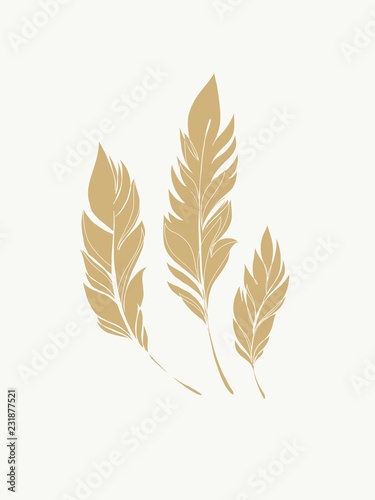 Feather of a bird, icon. Vector illustration