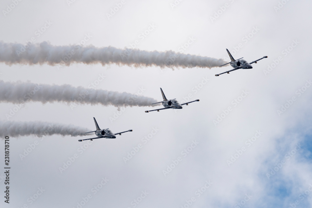Aerobatic team Russ on aircraft L-39 Albatross performs the program at the air show Aerobatic team Russ on aircraft L-39 Albatross performs the program at the air show