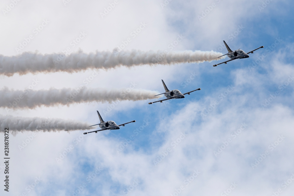 Aerobatic team Russ on aircraft L-39 Albatross performs the program at the air show Aerobatic team Russ on aircraft L-39 Albatross performs the program at the air show