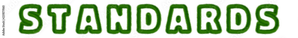 Standards - text written with grass Standards - text written with grass