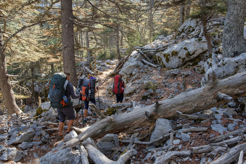 group of tourists with large backpacks goes through the forest along the Lycian trail. Turkey