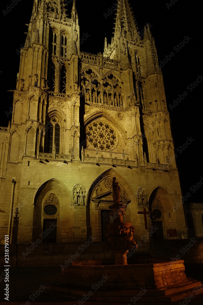 Catedral de Burgos en la noche