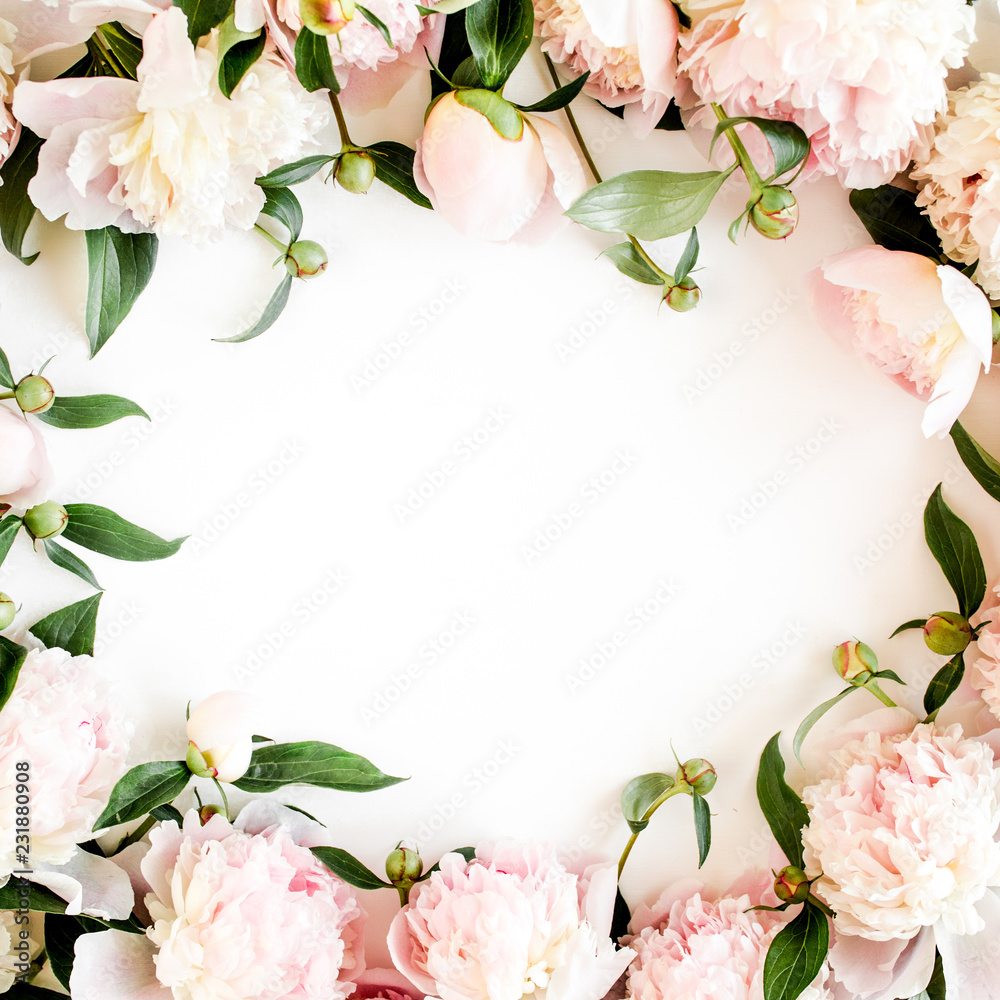 Frame made of beautiful pink peonies on white background. Flat lay, top view. Valentine's background. Floral frame. Peony texture.