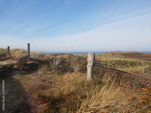 Zaun mit Dünengras, Kampen, Sylt