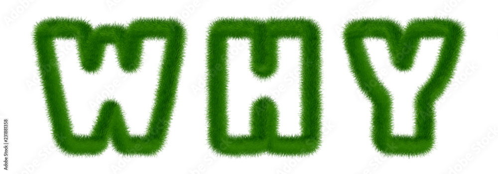 Why - text written with grass Why - text written with grass