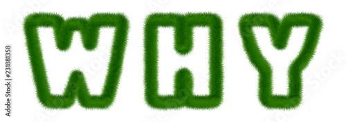 Why - text written with grass