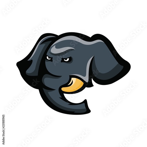 Elephant mascot logo photo