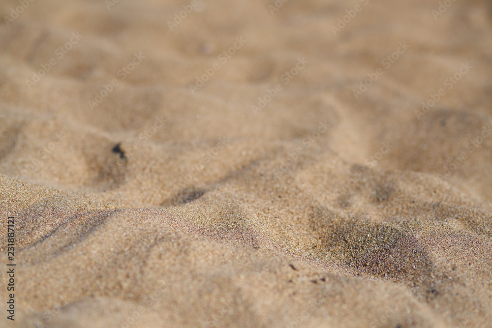 Beach sand texture Beach sand texture
