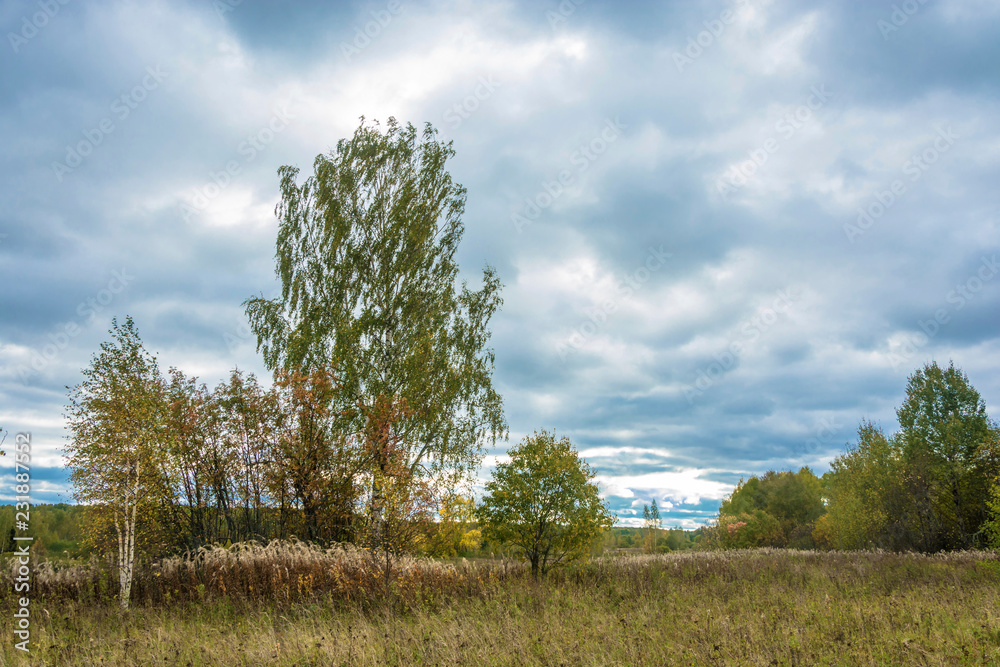 Beautiful autumn landscape on a cloudy day with a cloudy sky. Beautiful autumn landscape on a cloudy day with a cloudy sky.