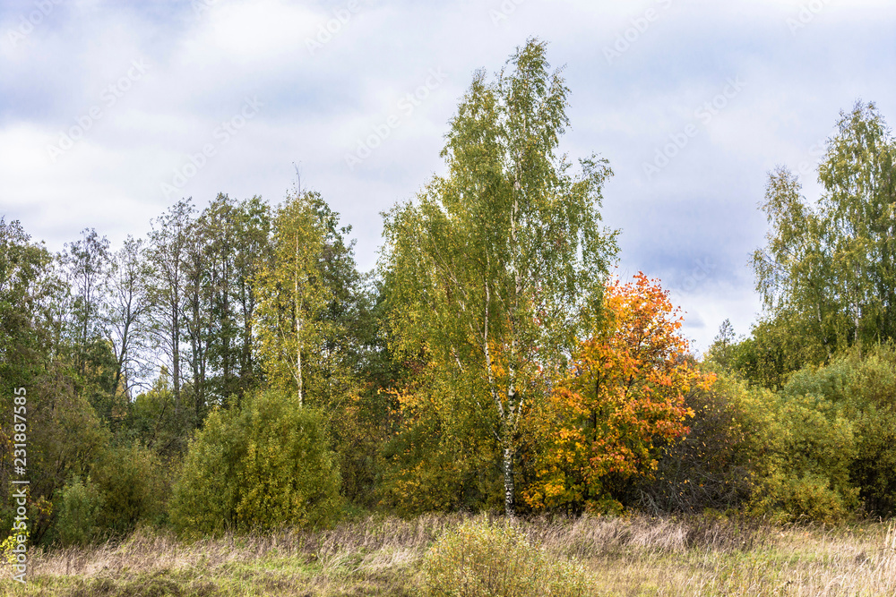 Beautiful autumn landscape on a cloudy day with a cloudy sky. Beautiful autumn landscape on a cloudy day with a cloudy sky.