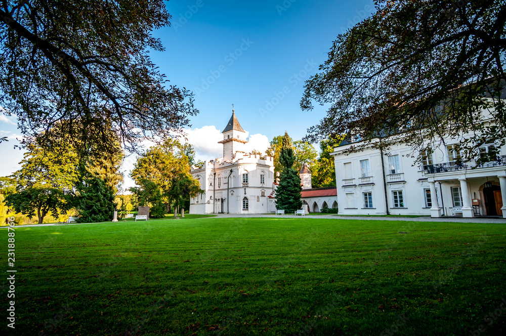 Palace in Radziejowice