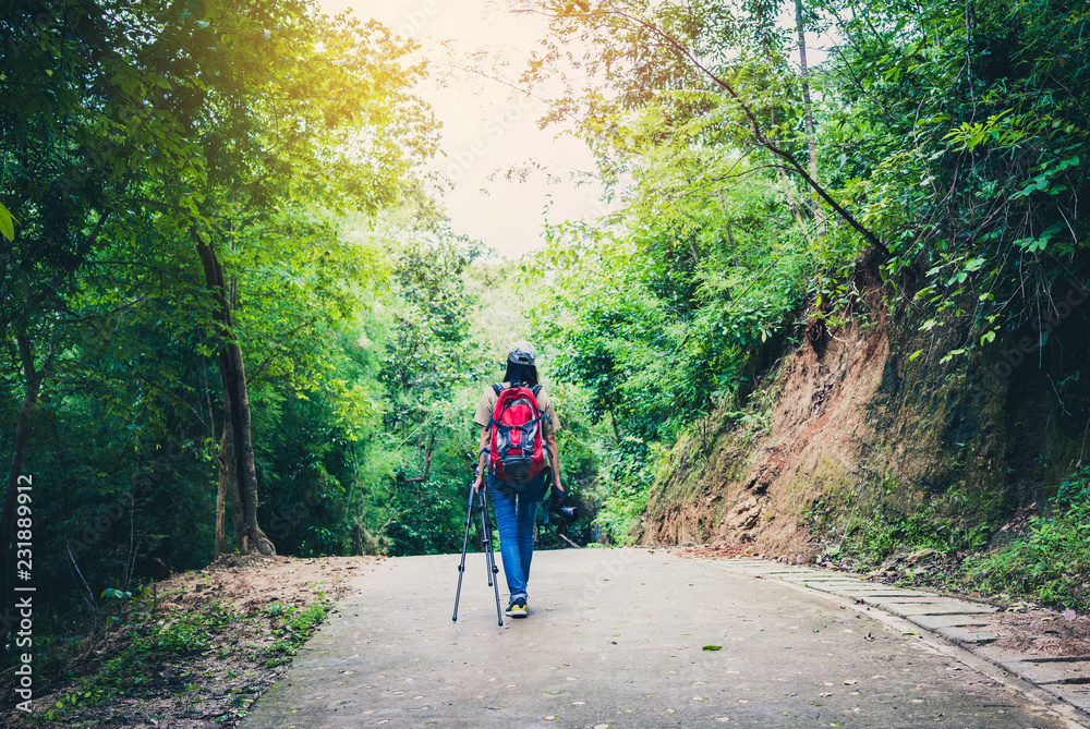 Obraz premium photographer woman trekking in the forest.