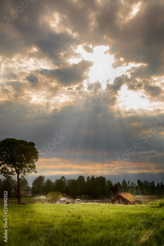Wallpaper Mural sunset over the field Torontodigital.ca