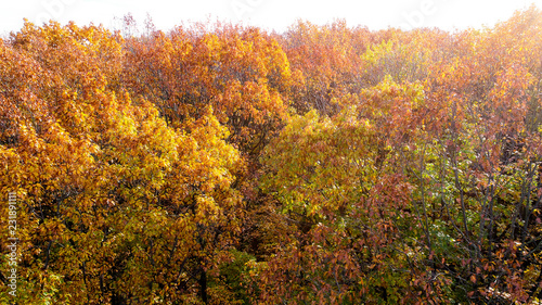 Herbst-Impressionen 06