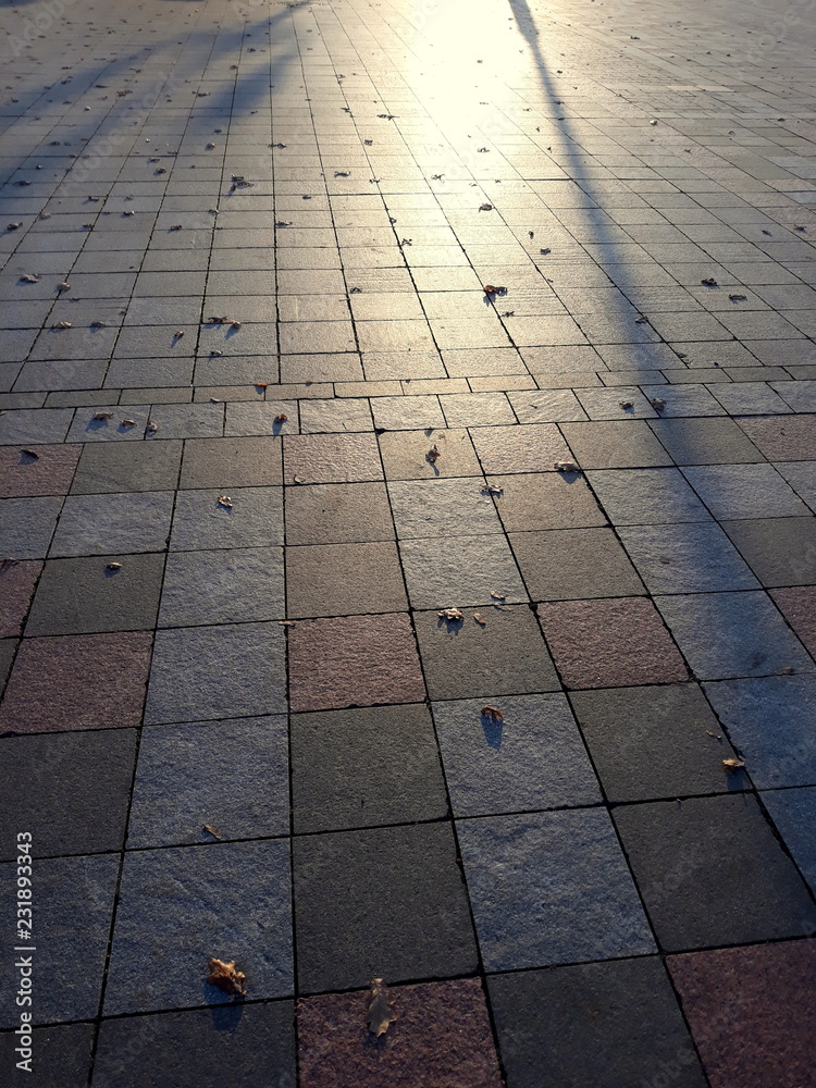 Fototapeta premium Light and shadow