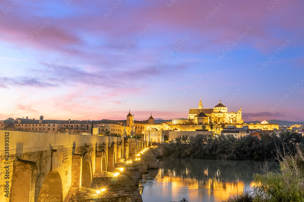 Mosque-Cathedral and the Roman Bridge in Cordoba at sunset, Andalusia, Spain