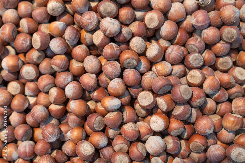 Hazelnut background. Can be used for design, websites, interior, background, backdrop, texture creation, the use of graphic editors, illustration, to create seamless textures. Hazelnut background. Can be used for design, websites, interior, background, backdrop, texture creation, the use of graphic editors, illustration, to create seamless textures.