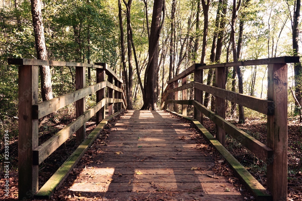 A view down a shadowy wooden footbridge in a park full of trees.