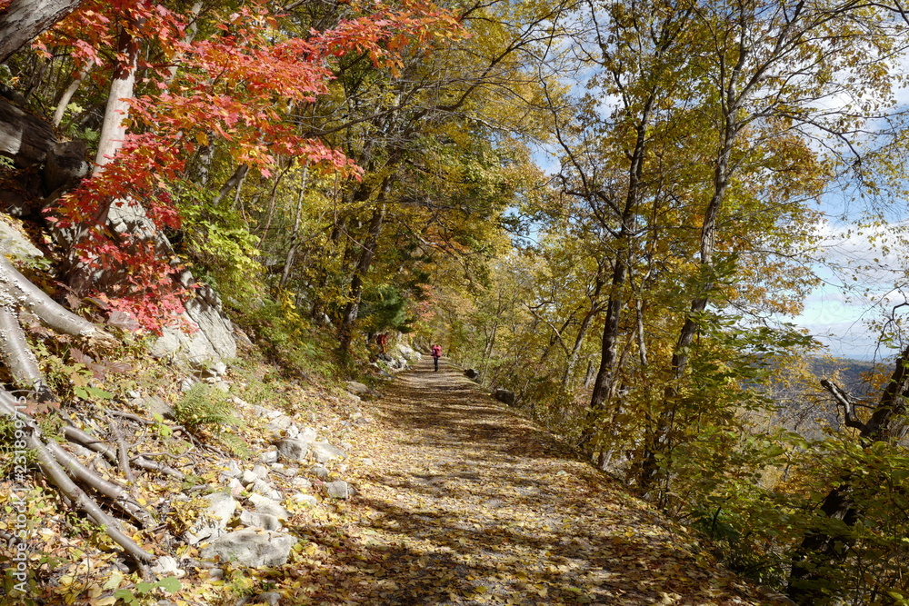 The scenery of autumn
