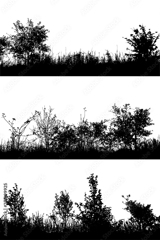 Realistic grass and bush with leaves silhouettes from nature on white background (Vector illustration).