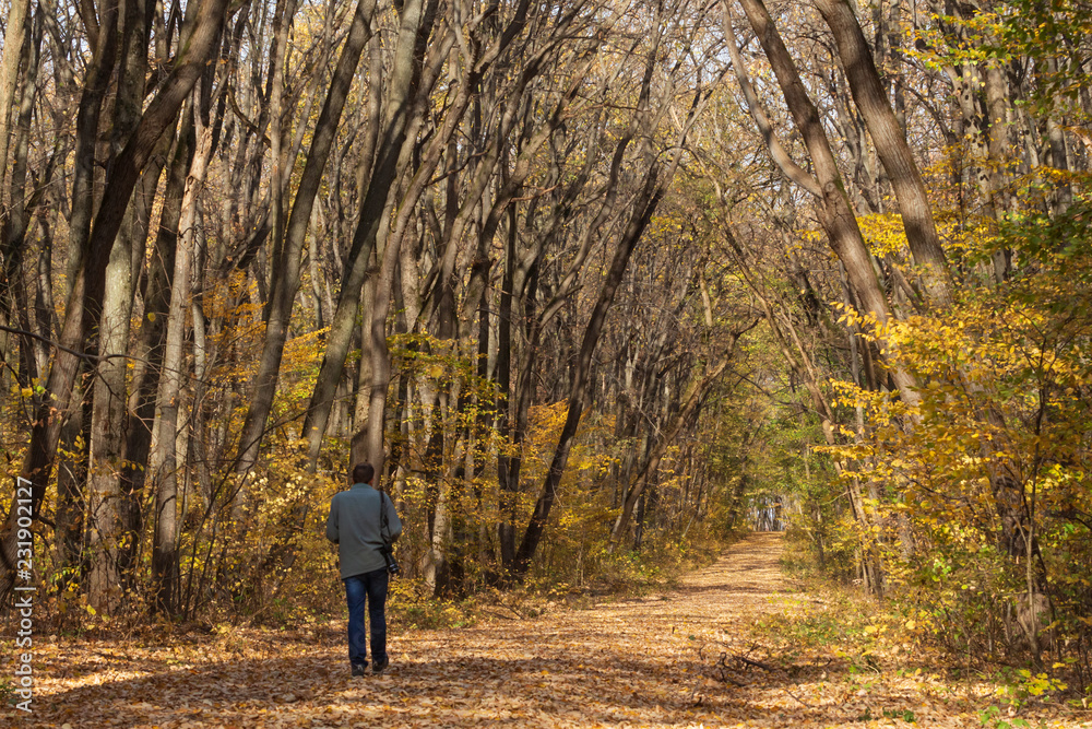 Photographer man walking in the forest in autumn