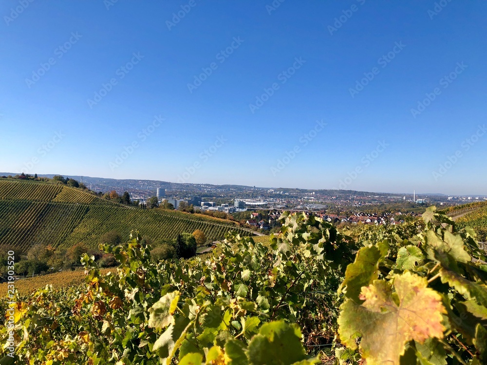 Typical view of the surroundings of Stuttgart, Germany