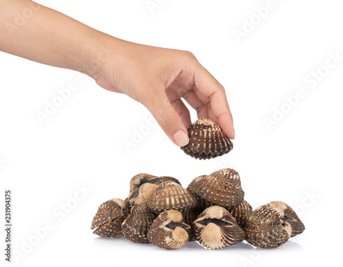 hand holding Delicious boiled or steamed cockles isolated on white background