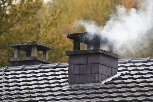 cheminee feu fumee pollution chauffage hiver froid environnement maison construction CO carbone bois energie crise￼