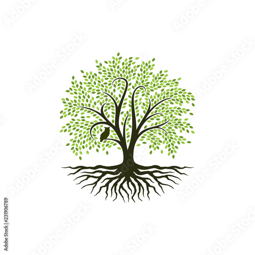 Abstract tree logo design  root vector - Tree of life logo design inspiration