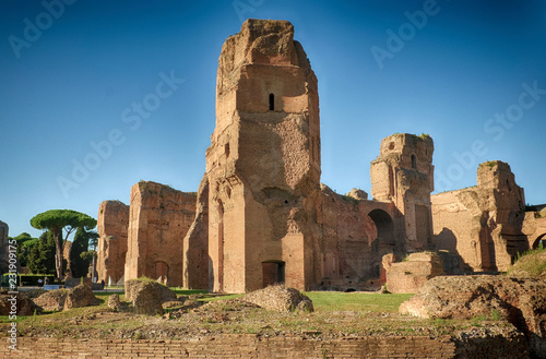 Ruins of ancient Baths of Caracalla in Rome