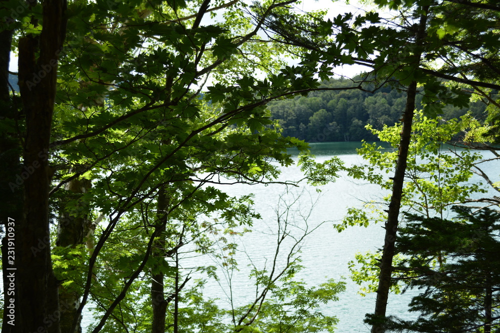 Obraz premium オンネトー