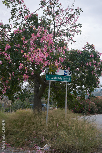 Termini Imerese, Italy - September 09, 2018 : Highway and hospital street sign photo