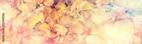 long narrow background autumn leaves  