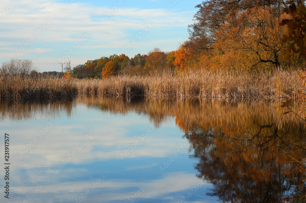 lake in autumn lake in autumn