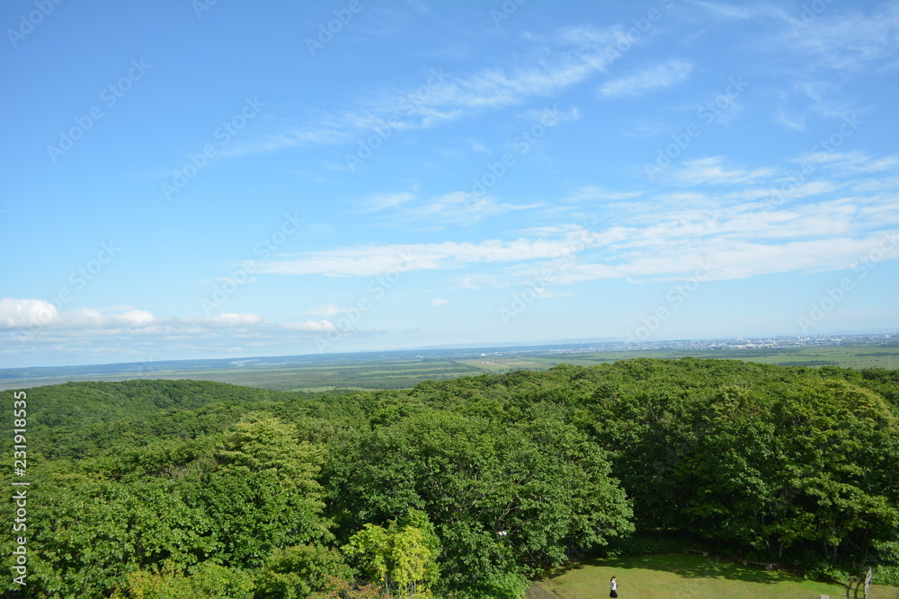 Obraz premium 湿原