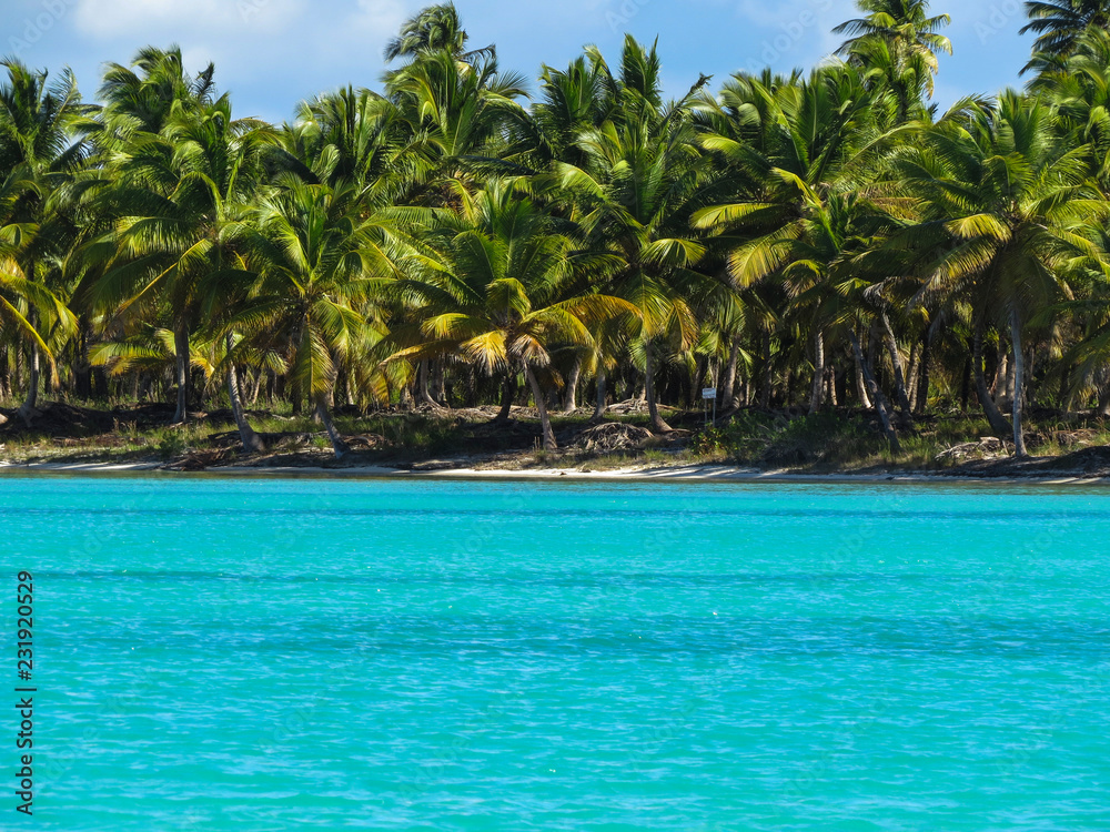 Obraz premium La Romana, Dominican Republic - Beautifull Beach with tropical palms and white sand of a typical tropical island of the caribbean